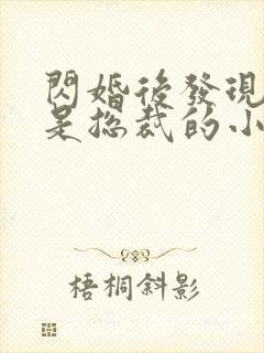 闪婚后发现老公是总裁的小说