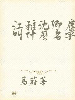 江稚沈卿尘小说叫什么名字