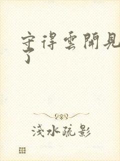 守得云开见月明了