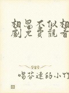 相思不似相逢短剧免费观看