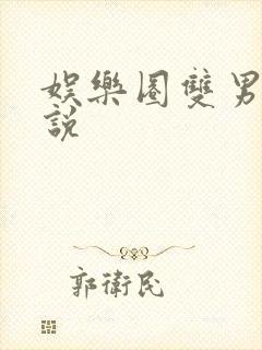 娱乐圈双男主小说