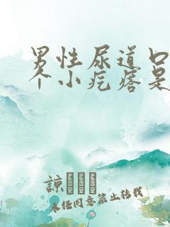 男性尿道口长了个小疙瘩是怎么回事