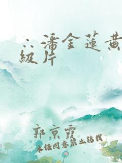 ∴潘金莲黄色一级片