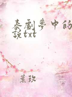 泰剧梦中的她小说txt