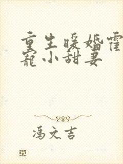 重生暖婚霍总狠宠小甜妻