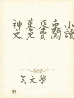 神墓辰东小说全文免费阅读起点