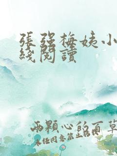 张强梅姨小说在线阅读