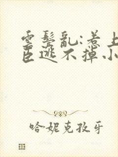 云鬓乱:惹上奸臣逃不掉小说阅读全部