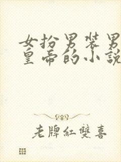 女扮男装男主是皇帝的小说