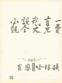 小说我有一剑叶观全文免费阅读