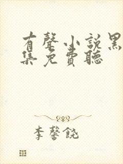 有声小说黑锅全集免费听