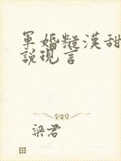 军婚糙汉甜宠小说现言