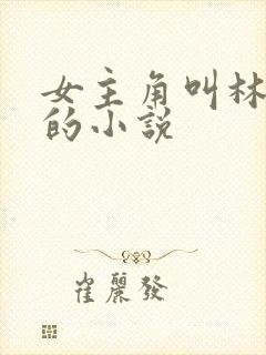 女主角叫林辛言的小说