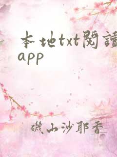 本地txt阅读app