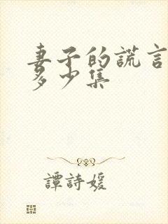 妻子的谎言一共多少集