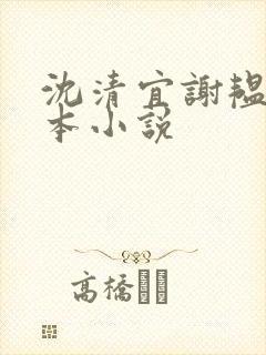 沈清宜谢韫之哪本小说