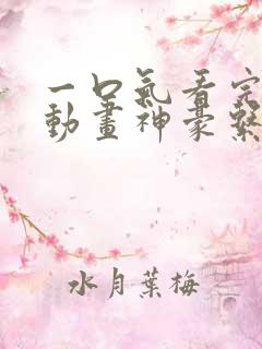 一口气看完沙雕动画神豪系统