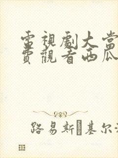 电视剧大当家免费观看西瓜