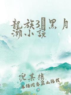 龙族3·黑月之潮小说