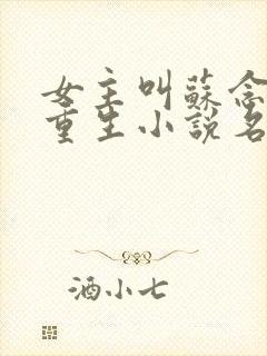 女主叫苏念笙的重生小说名字