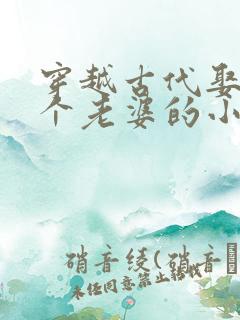 穿越古代娶了八个老婆的小说推荐