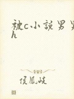 被c小说男男高h
