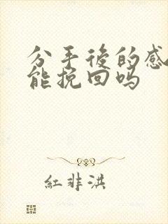 分手后的感情还能挽回吗