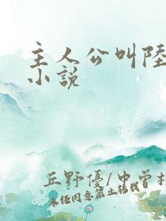 主人公叫陆秋的小说