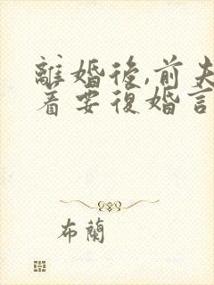 离婚后,前夫赖着要复婚言情小说