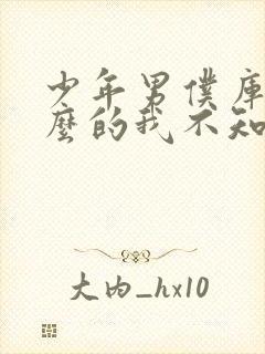 少年男仆库洛什么的我不知道