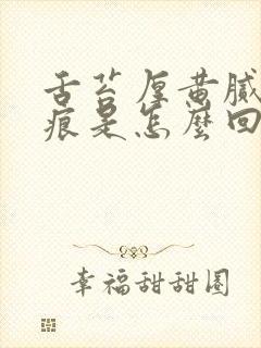 舌苔厚黄腻有齿痕是怎么回事