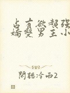 占有欲超强的病娇双男主小说攻受