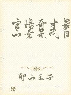 官场奇才最强靠山竟是我自己李澜免费阅读