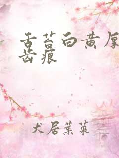 舌苔白黄厚腻有齿痕