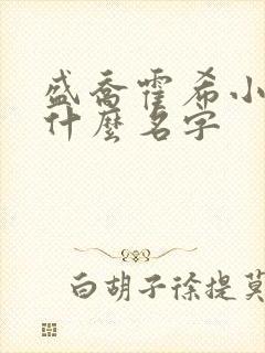 盛乔霍希小说叫什么名字