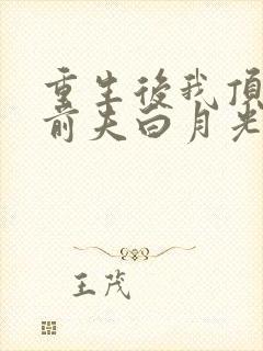 重生后我顶替了前夫白月光完结版