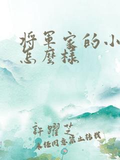 将军家的小娘子怎么样