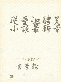 逆爱池骋吴所畏小说最新章节帝