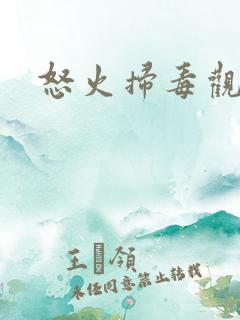 怒火扫毒观后感