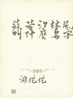 苏若汐林风小说叫什么名字