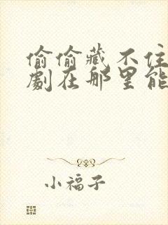 偷偷藏不住电视剧在那里能看