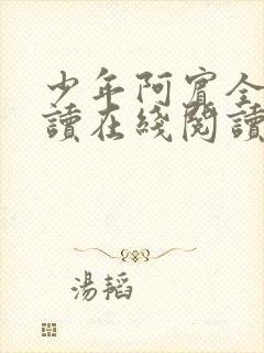 少年阿宾全文阅读在线阅读