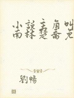 小说主角叫李向南林楚乔免费阅读