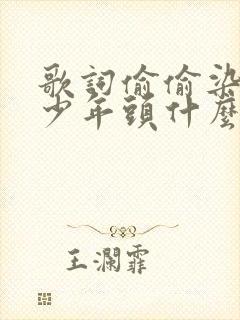 歌词偷偷染白了少年头什么歌名