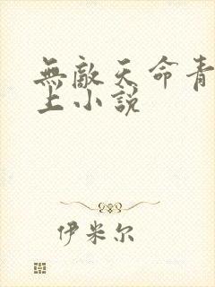 无敌天命青鸾峰上小说