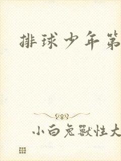 排球少年第4季