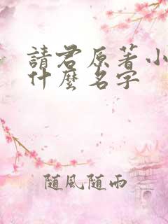 请君原著小说叫什么名字