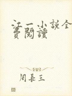 江一小说全文免费阅读