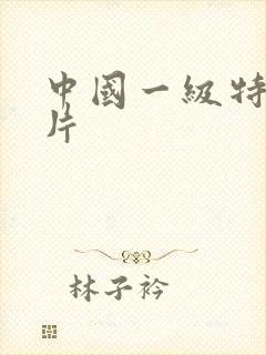 中国一级特黄大片