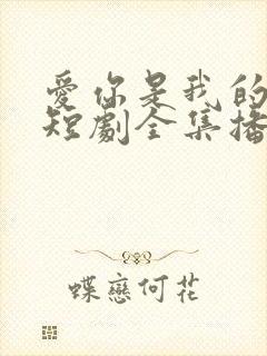 爱你是我的秘密短剧全集播放